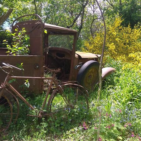 La Ferme Les Mamours La Bastide-l'Eveque Dış mekan fotoğraf