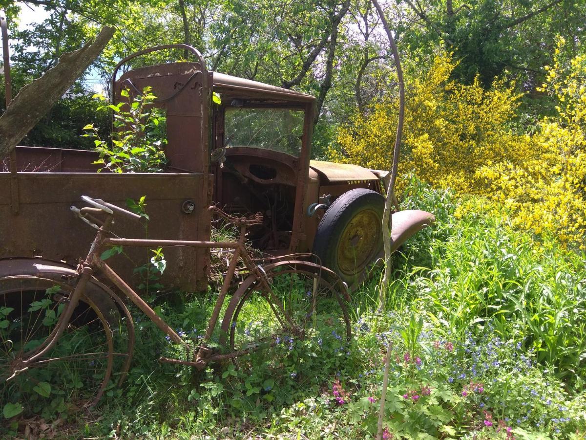 La Ferme Les Mamours La Bastide-l'Eveque Dış mekan fotoğraf
